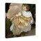 Stupell Industries Ruffled White Flower Canvas Wall Art Design by Katie Swatland